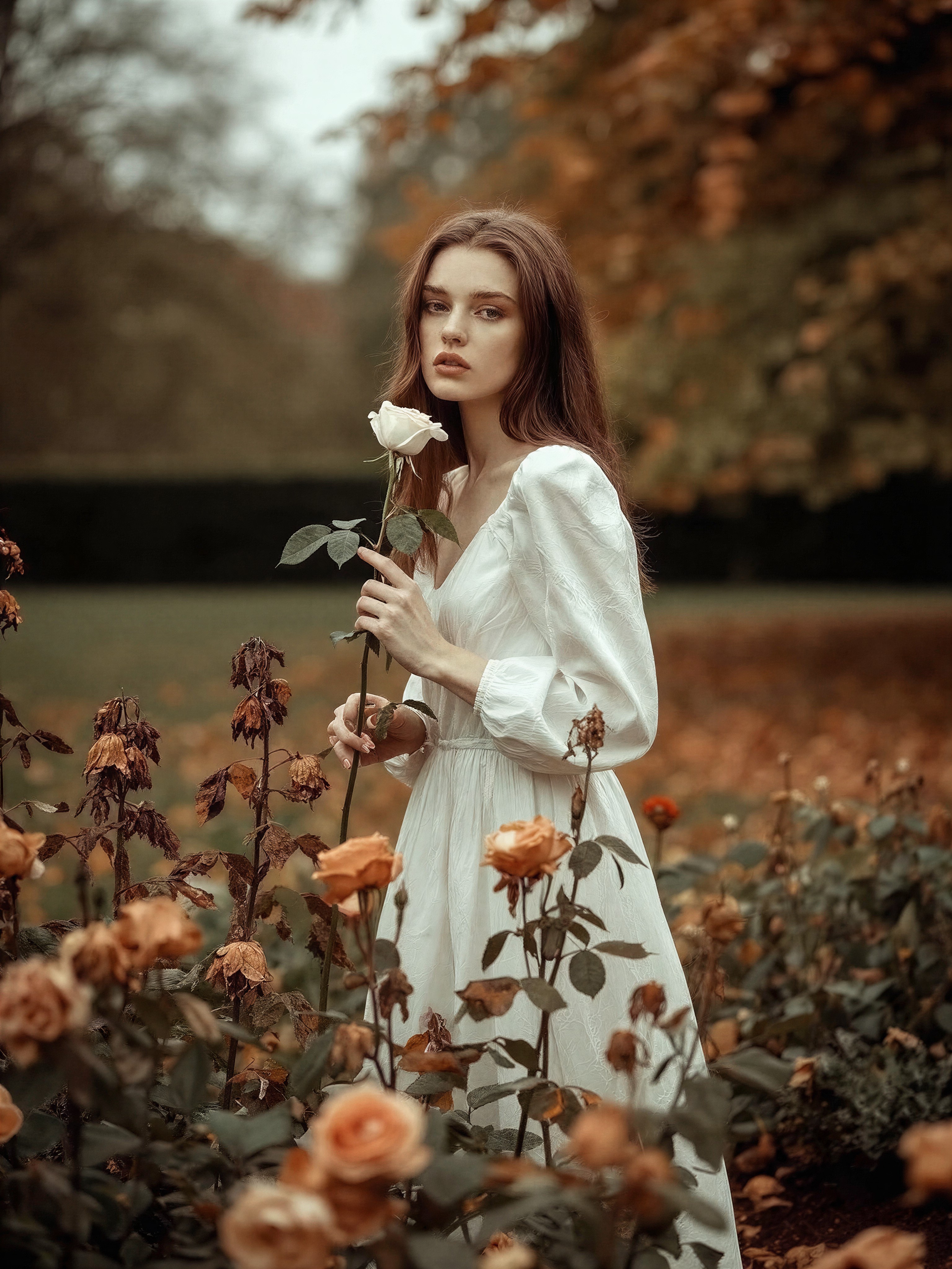 Melancholic Autumn Portrait with White Rose — AI generated image
